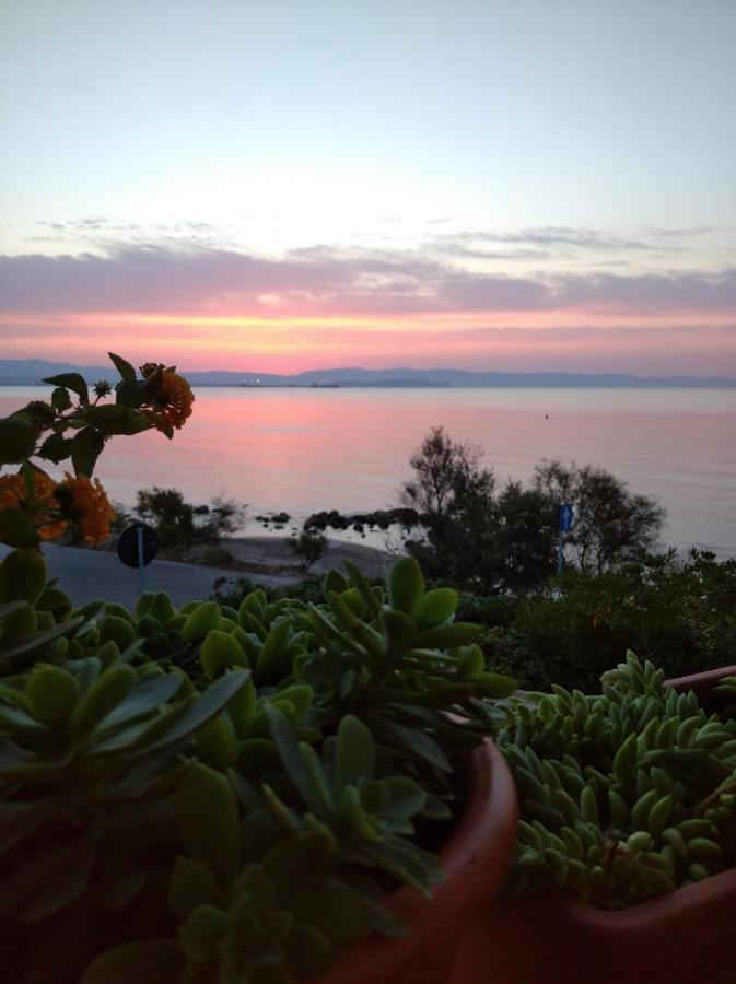 Вилла Casa Bon' Aria Fronte Mare Sud Sardegna La Maddalena  Экстерьер фото